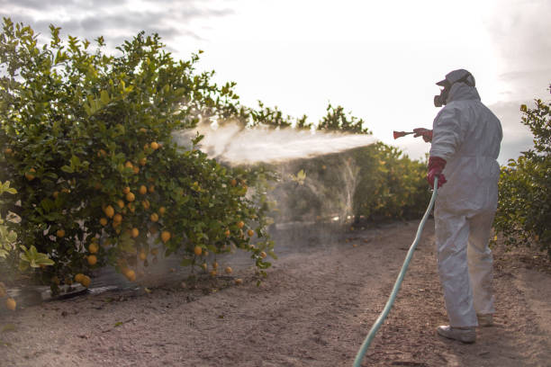 Wildlife Control Services in Penitas, TX